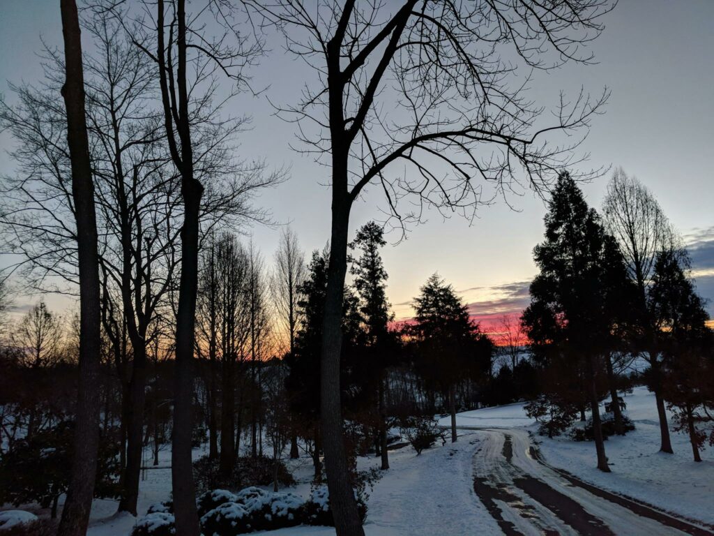 The Glory Of A Winter Day 1 The Glory Of A Winter Day 271971577 7127519673932478 8842411251282055856 N