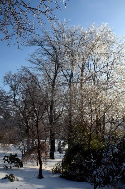 Winter'S Severe Artistry 1 Winter'S Severe Artistry 272529386 7166017076749404 3781759534083433122 N