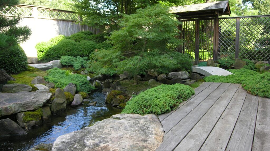 One Of Our Client'S Cool Ideas - A Stream Running Through Their Japanese Zen Garden That Holds A Unique Viridis Japanese Maple Tree