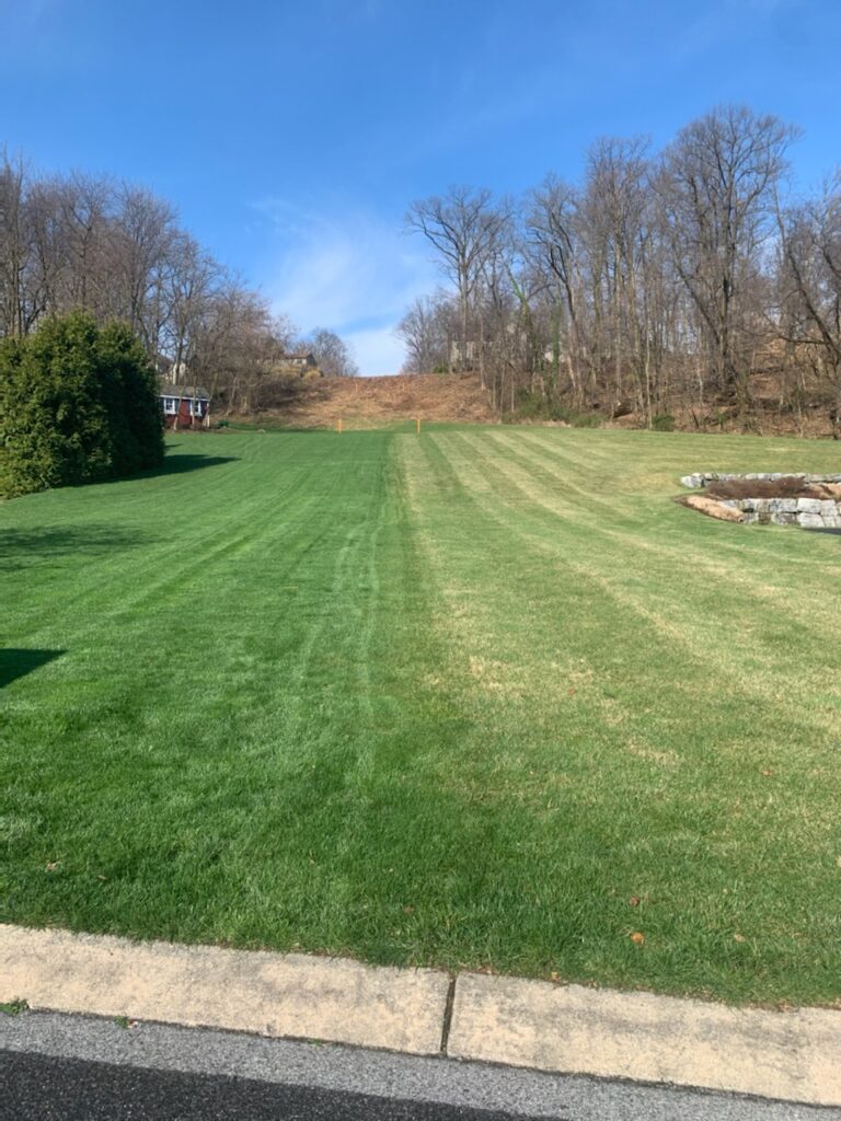This Time, The Grass Is Greener On &Quot;Our Side Of The Fence&Quot; 1 This Time, The Grass Is Greener On &Quot;Our Side Of The Fence&Quot; 278235889 7565883393429435 3984795944689643651 N