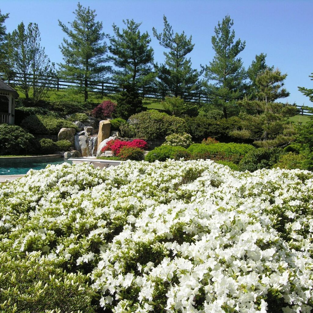 Planning A Garden That Will Last: Make Seasonal Decisions 2 Planning A Garden That Will Last: Make Seasonal Decisions 275393000 7440474635970312 3777171308997296051 N