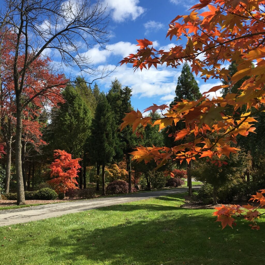 Planning A Garden That Will Last: Make Seasonal Decisions 1 Planning A Garden That Will Last: Make Seasonal Decisions 275746980 7440483139302795 7999476182084116242 N