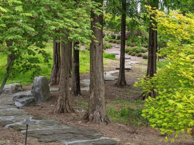 WALK WITH NATURE_featured_image