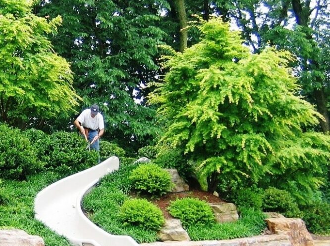 THE PURPOSE OF PRUNING_featured_image