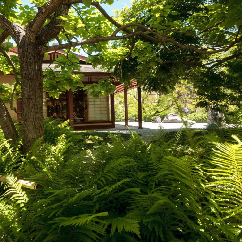 A Garden In The Desert 1 Steffstarr/123Rf.com (Photo Of Japanese Friendship Garden)