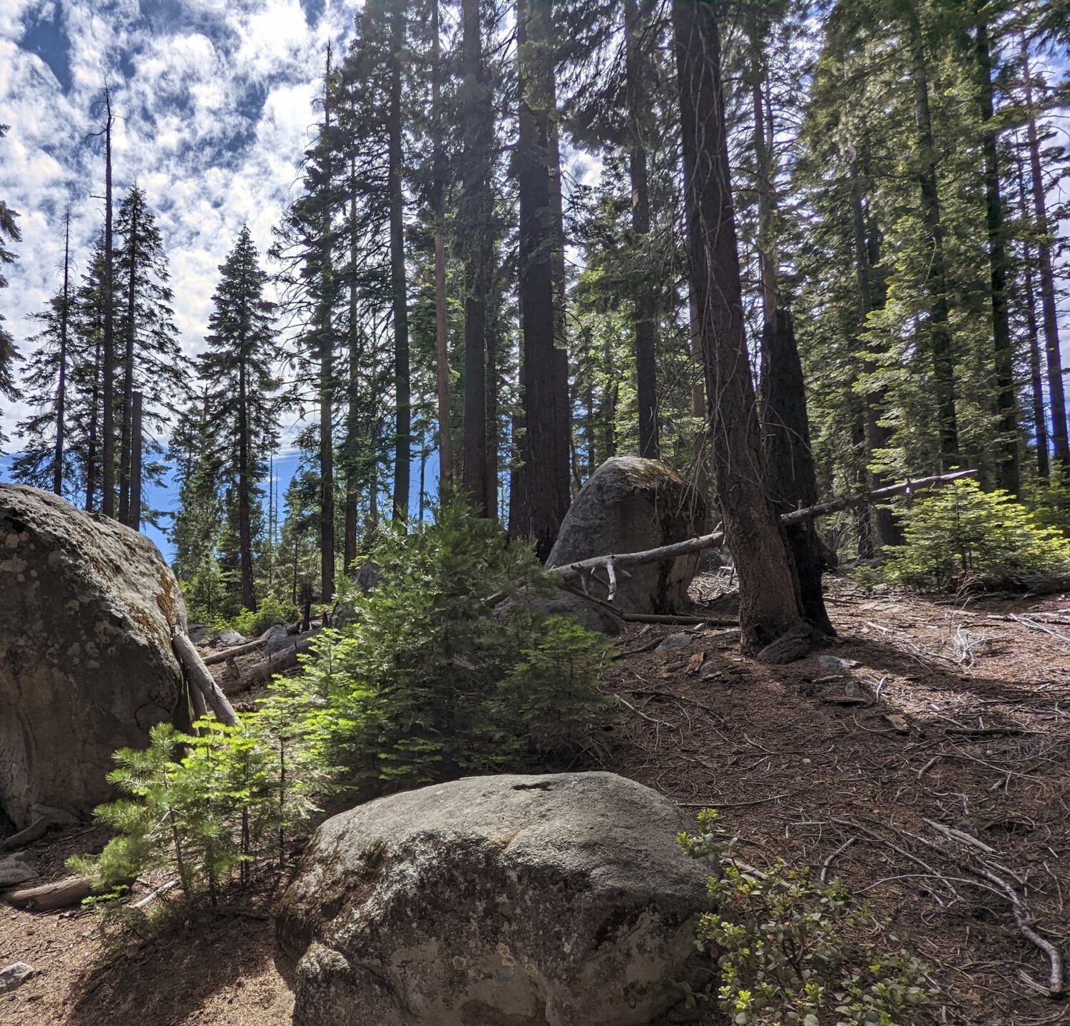 A Hike In Yosemite 291751369 7965470263470744 8518085979303589324 N1 Scaled