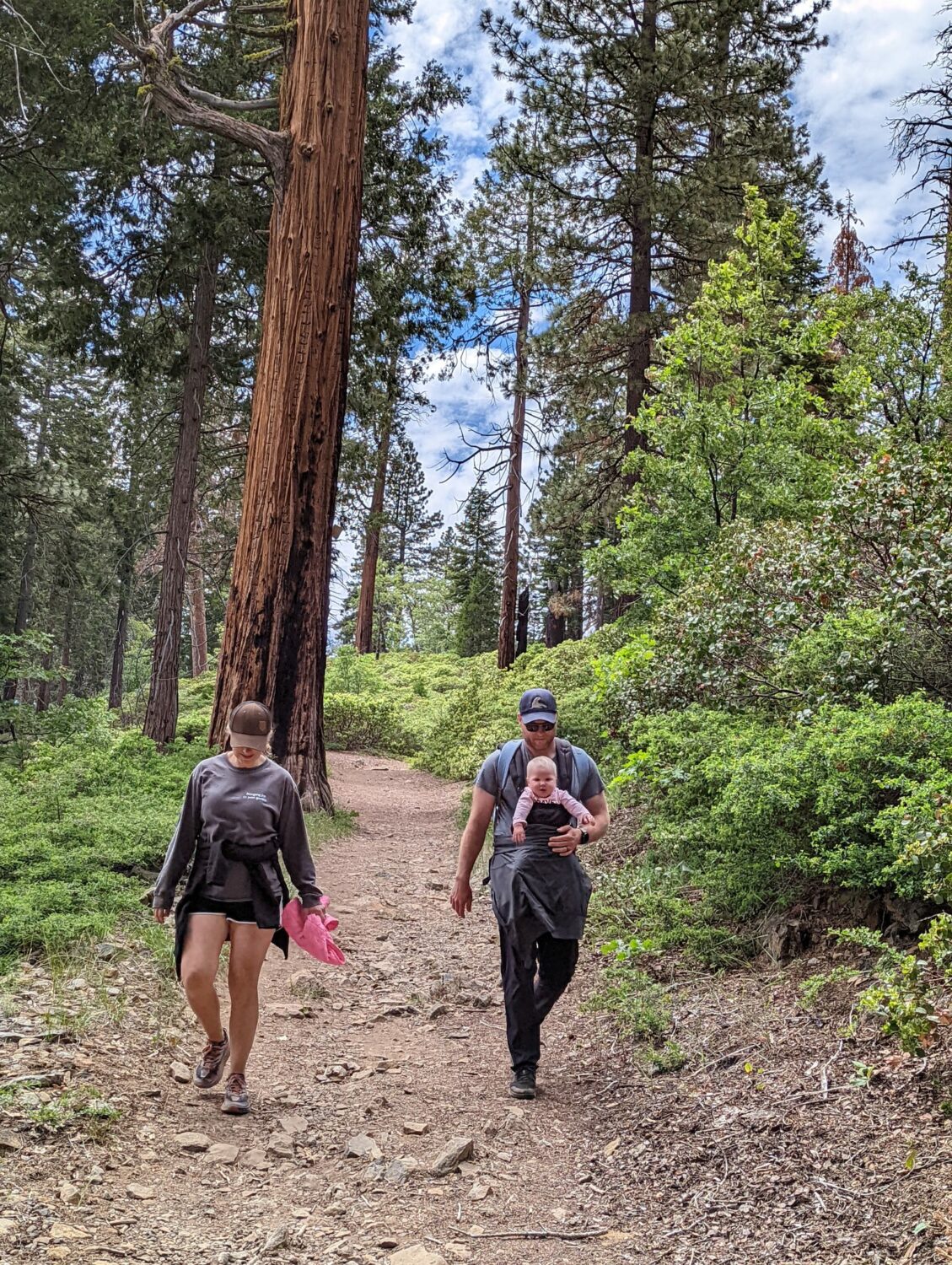 A Hike In Yosemite 291863069 7965470623470708 1872270151003505910 N Scaled