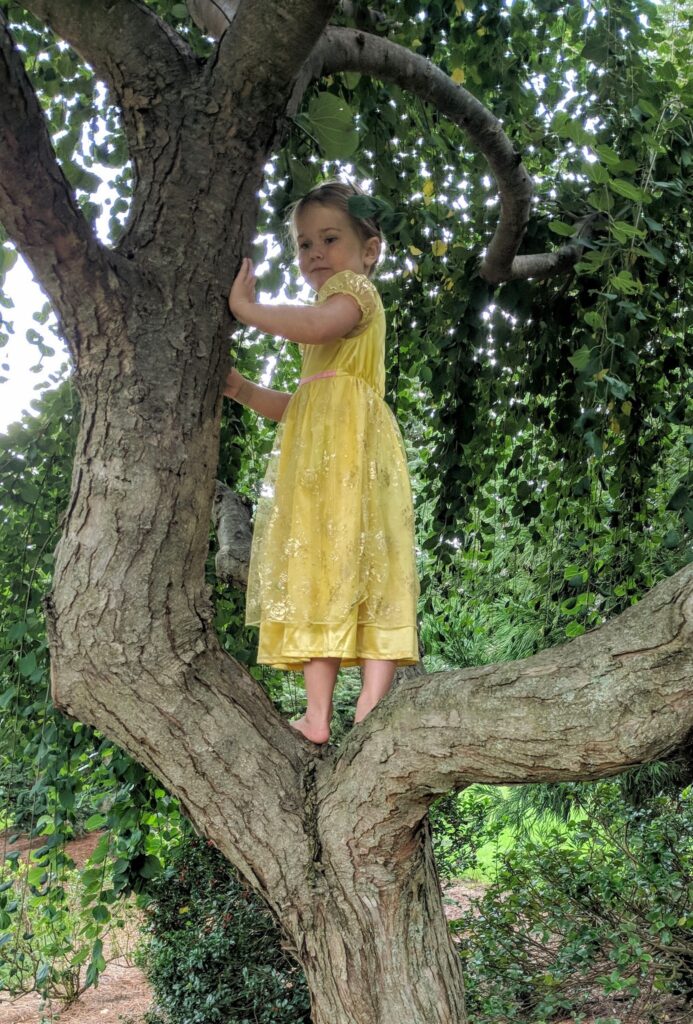 Gardens Are For Children . . . 1 Gardens Are For Children . . . 296852781 8096929116991524 1591180742565482827 N
