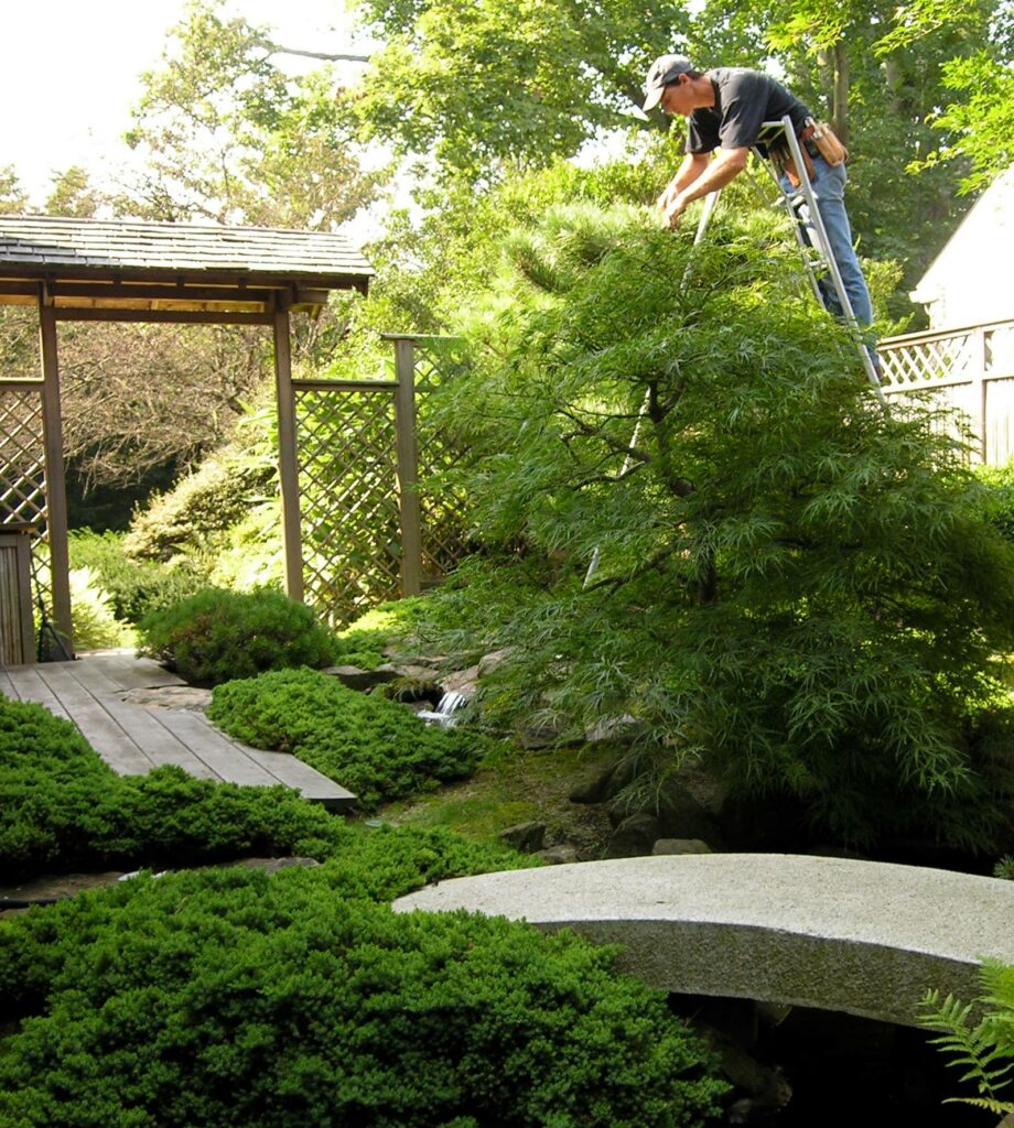 Escape From The Hustle And Bustle Of Life To The Serenity Of A Courtyard Garden Designed, Built, And Tended By The Experts At Hanselman Landscape.