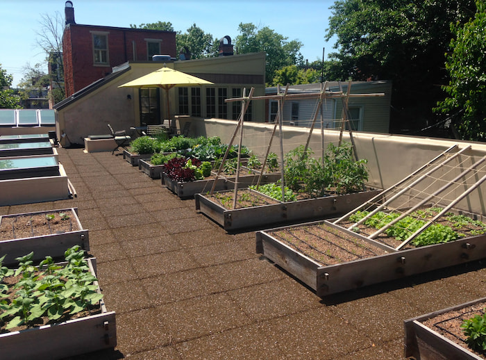 Rooftop Gardens 16 Rooftop Garden Raised Plant Beds
