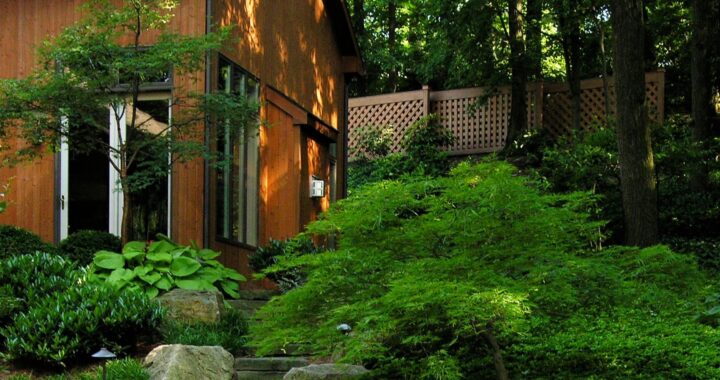 How To Hire A Garden Designer (Part 3) 1 How To Hire A Garden Designer (Part 3) 323683687 482489313821558 4588921533450208876 N