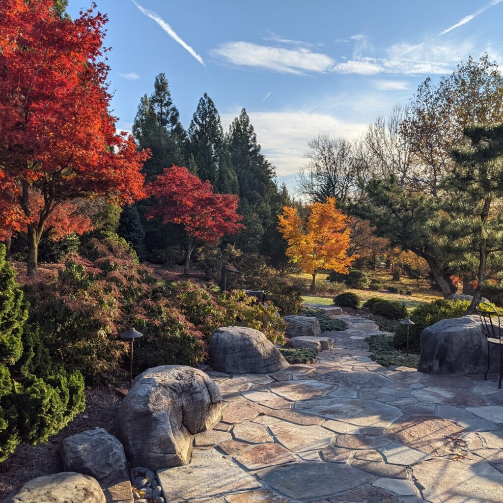 A Garden For All Seasons 1 A Garden For All Seasons 324929951 461453179355429 8853809921056768389 N
