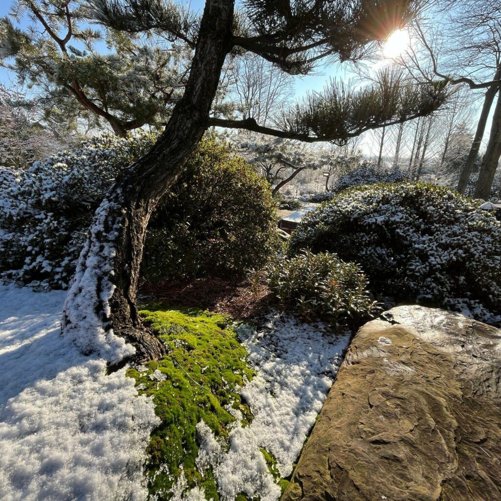 Garden Views In Winter 2 Garden Views In Winter 325126251 1296719020873678 3920486667115284498 N