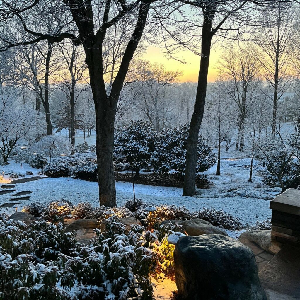 Garden Views In Winter 4 Garden Views In Winter 325141189 736033711373063 5089851006436331891 N