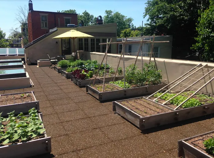 Rooftop Garden With Raised Planters And Drip Irrigation Designed And Installed By Hanselman Landscape And Gardens In Harrisburg, Pa
