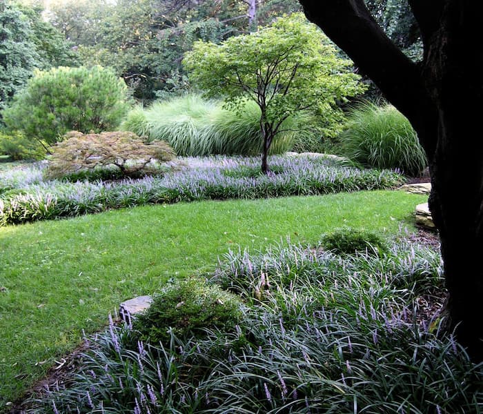Low-Maintenance Gardens 13 A Serene Garden Scene With Lush Greenery, Featuring Various Grasses, Small Bushes, And Trees. The Foreground Has A Neatly Trimmed Lawn Surrounded By Plants, With A Backdrop Of Dense Foliage And Tall Grasses. Dappled Sunlight Filters Through The Trees.