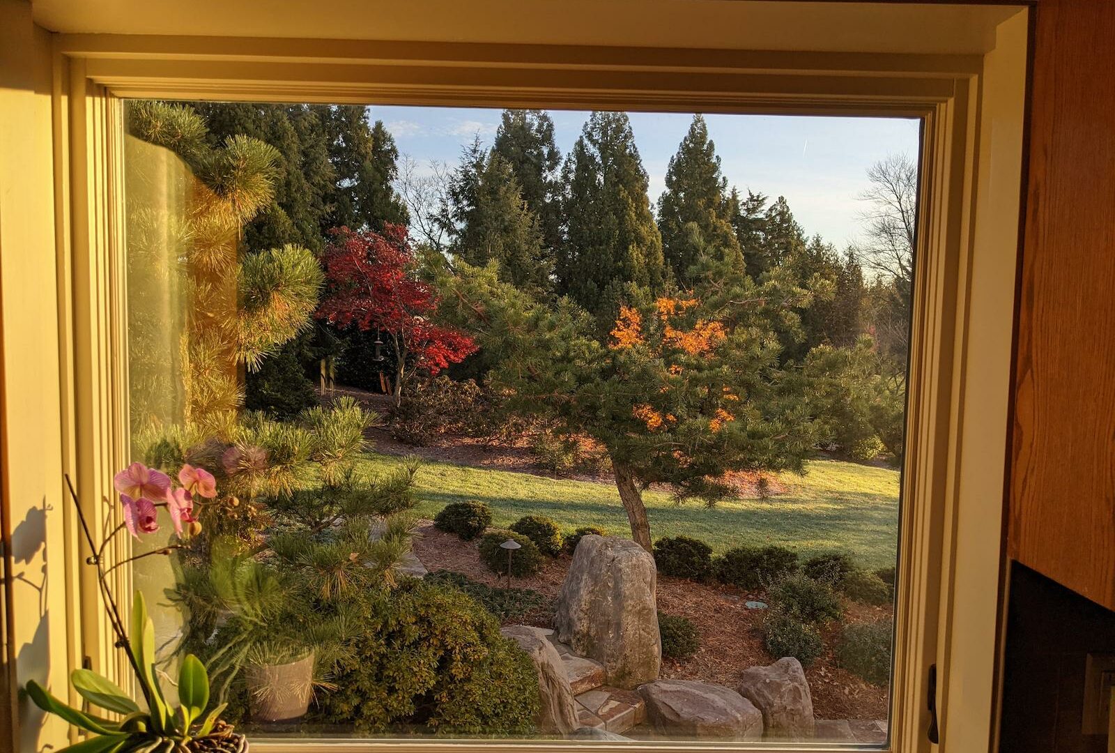 &Quot;Inside Out&Quot; Gardens Io24 Frosty Fall Morning Viewed From Cozy Kitchen Window 1