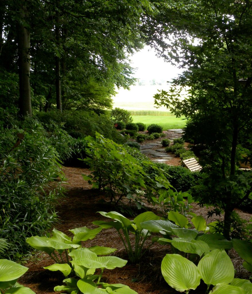 Woodland Gardens Create A Canopy Of Shade And Shelter For The Plants – And People – Below.