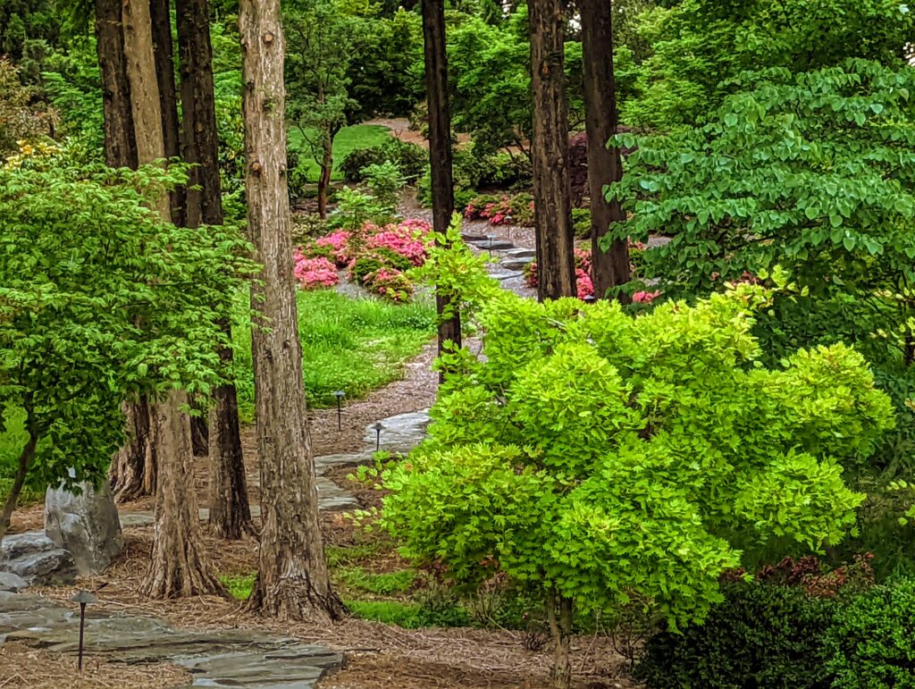 Shady Pathways Invite You To Explore The Colors And Textures Of The Garden. 