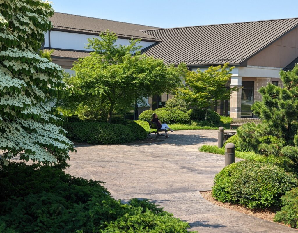 Shrubs And Small Trees Soften The Edges Of A Large Commercial Structure And Provide A Shady Spot To Sit.