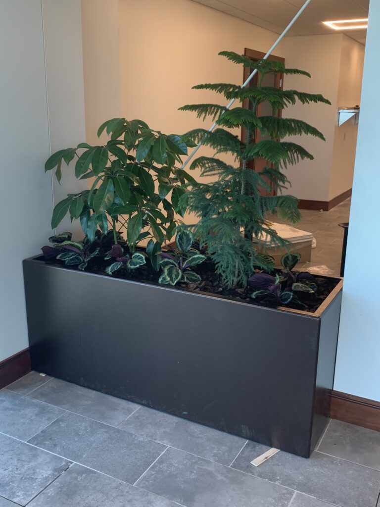 Commercial Gardens 18 Commercial Gardens Co25 Commercial Indoor Garden 3
