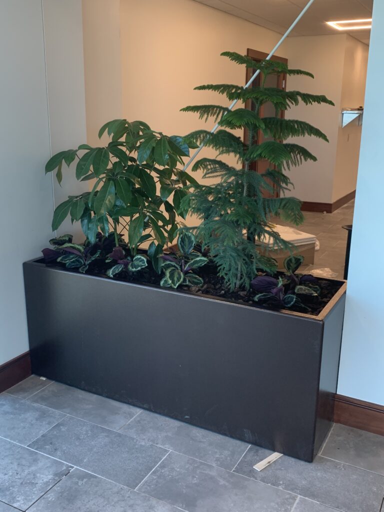 Indoor Planters Help Direct Foot Traffic And Soften The Interiors Of Your Commercial Space.