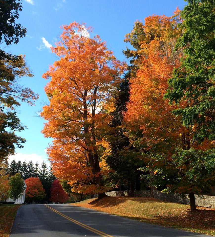 &Quot;I'M So Glad I Live In A World Where There Are Octobers.&Quot; 1 &Quot;I'M So Glad I Live In A World Where There Are Octobers.&Quot; 366814815 995574881398225 7332697775939907446 N