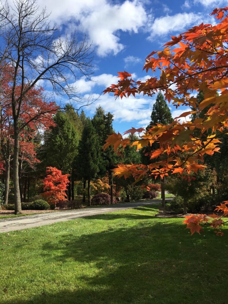 &Quot;I'M So Glad I Live In A World Where There Are Octobers.&Quot; 3 &Quot;I'M So Glad I Live In A World Where There Are Octobers.&Quot; 366932084 995576931398020 8431362640040295459 N