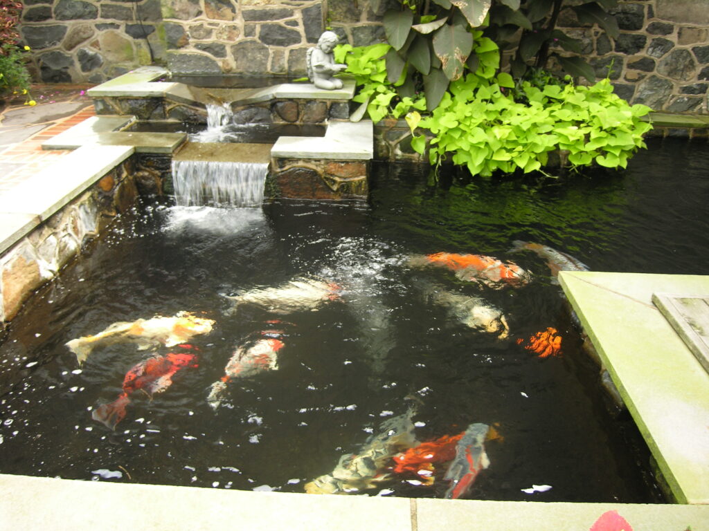 Water Gardens 12 Water Gardens Wf06
