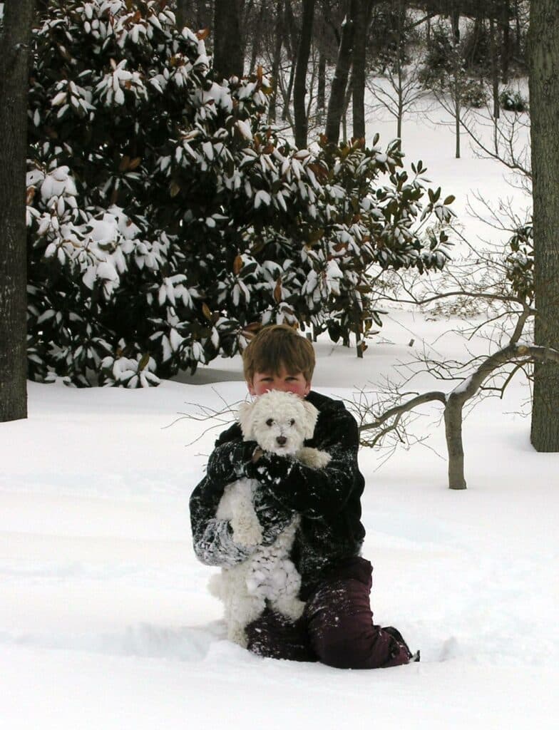 Children'S Gardens 21 A Boy Playing With His Dog In The Snow In A Children'S Garden During The Winter | Hanselman Landscape And Gardens