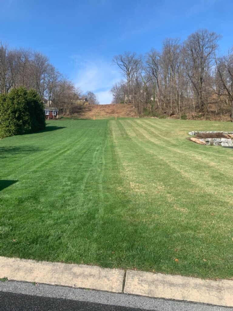 You Can See The Difference With Lawn Care Done By Hanselman