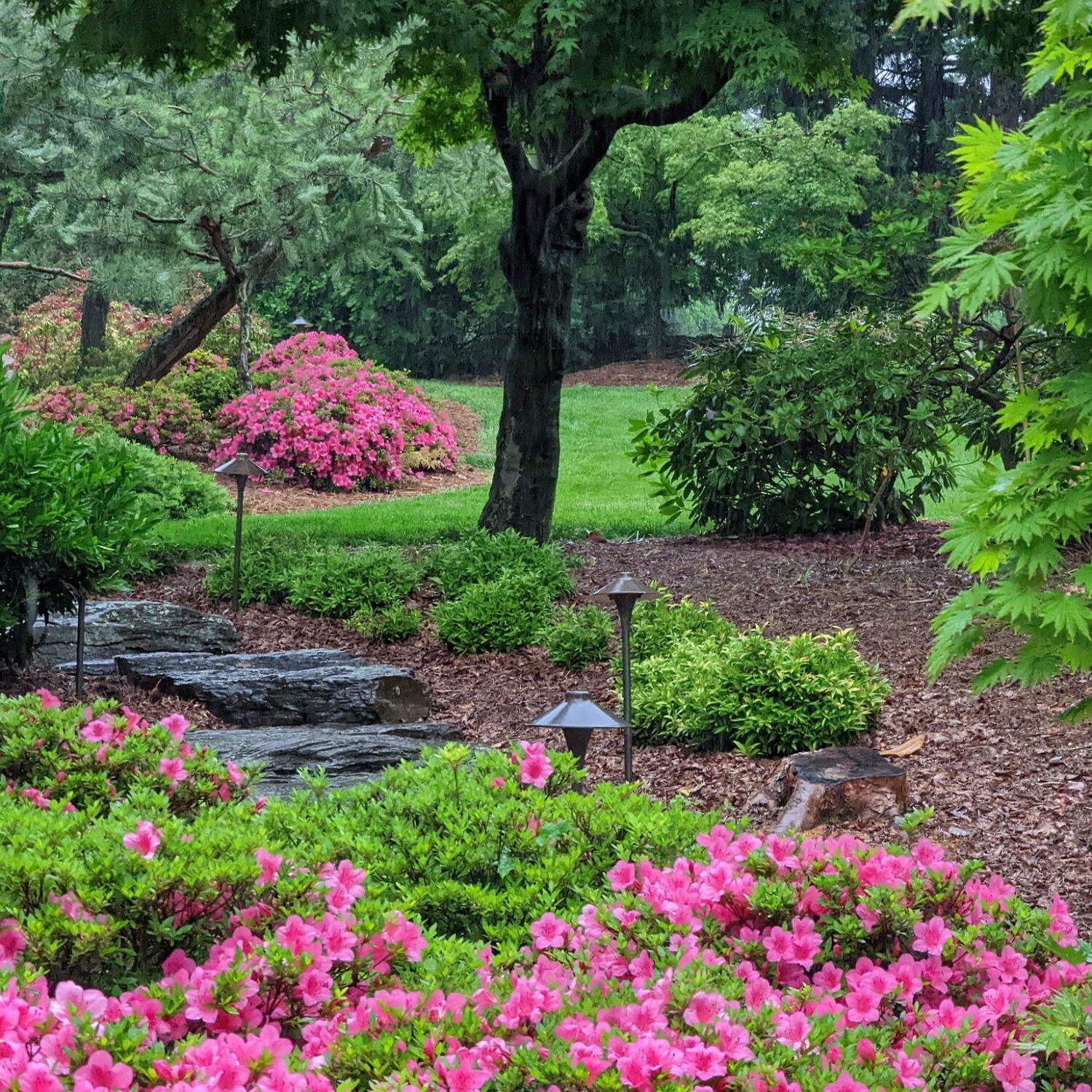 HAPPY GREEN DAY Hanselman Landscape Gardens happy-green-day-hanselman-landscape-gardens