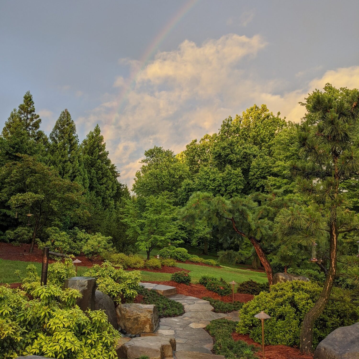 summer-rain-hanselman-landscape-gardens