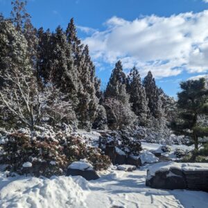 Walking In A Winter Wonderland 7 Walking In A Winter Wonderland 600936414 1609663269989380 6200787458903776754 N