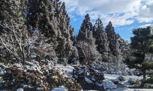 Walking in a Winter Wonderland_thumbnail