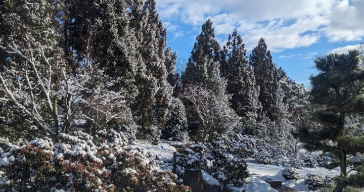 Walking In A Winter Wonderland 600936414 1609663269989380 6200787458903776754 N