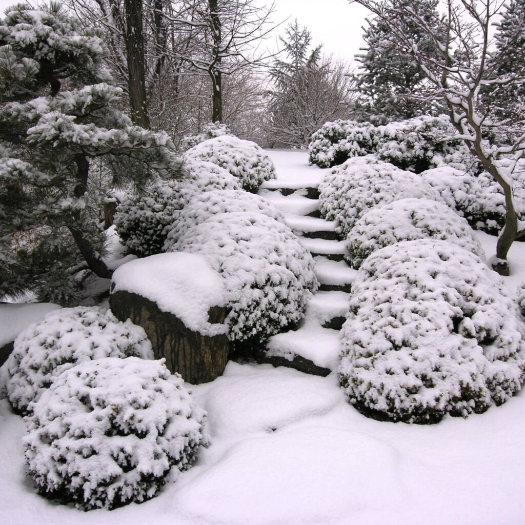 January 607927058 1620654352223605 6751439169153550381 N