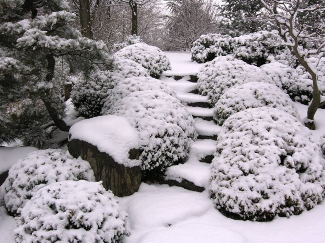 January_featured_image