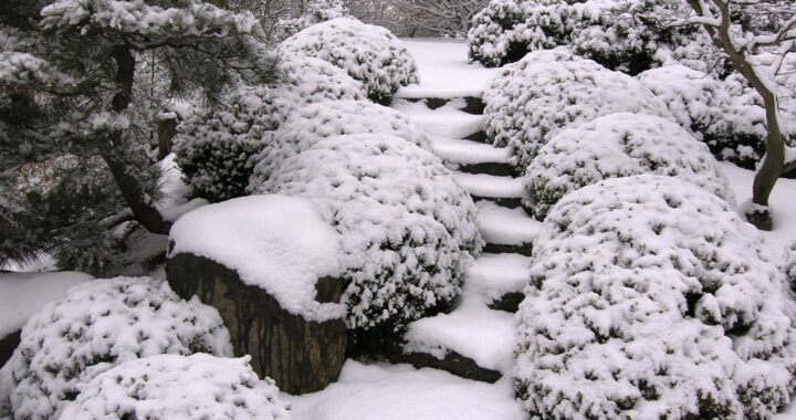 January 607927058 1620654352223605 6751439169153550381 N